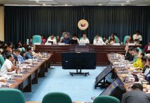 Senator to Malacañang: PH needs ‘national emergency,’ not just ‘energy emergency’