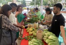 Davao City strengthens food security amid fuel challenges