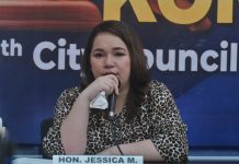 Councilor raises alarm over kite string incidents along Davao Coastal Road