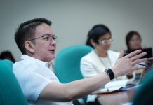 Davao City’s emergency response body to deal with fuel crisis can be replicated in other LGUs: Chiz