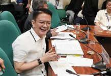 SM’s expansion in Davao to spread jobs, boost economic activities in Mindanao: Chiz