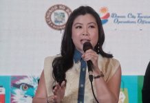 Davao City tourism sector ready for Duaw Davao visitor surge