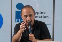 Davao mango sector eyes industry roadmap to regain global competitiveness