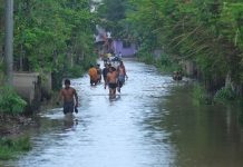 IDIS says Davao City has lost 95% of wetlands, urges nature-based flood solutions