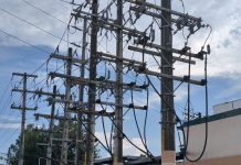 Senator urges gov’t action on power, fuel costs before emergency powers expire