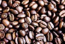 DA 11 eyes higher-value coffee industry as Davao growers gain specialty recognition