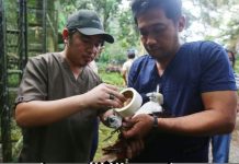 Cotabato trains personnel to combat illegal wildlife trade