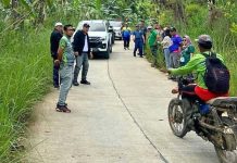 Cotabato probes shooting of two Philippine Eagles, pushes stronger wildlife protection